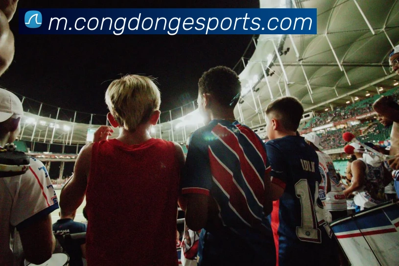 体育下注平台生态图