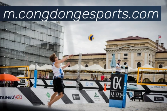 体育下注全站App